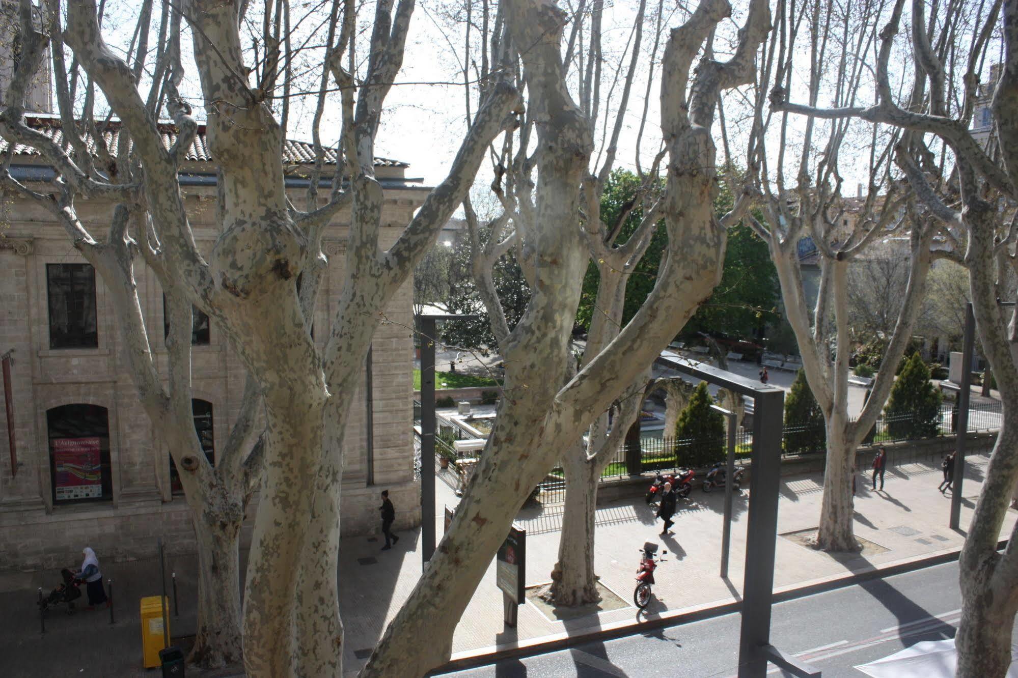 Hotel Alizea Avignon Exterior photo